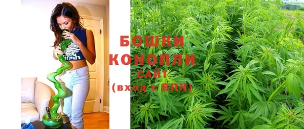кокаин Белокуриха